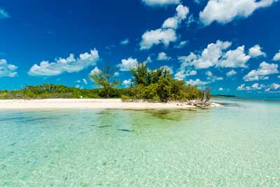 Bimini