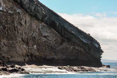 Daphne Island